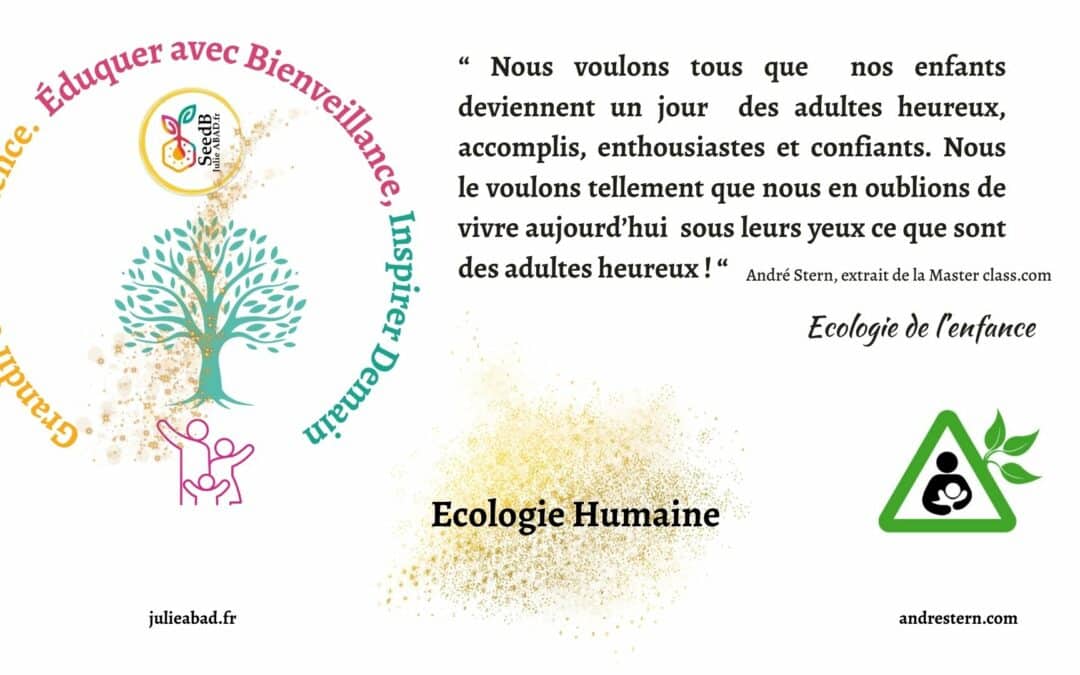 VEO Violence Educative Ordinaire